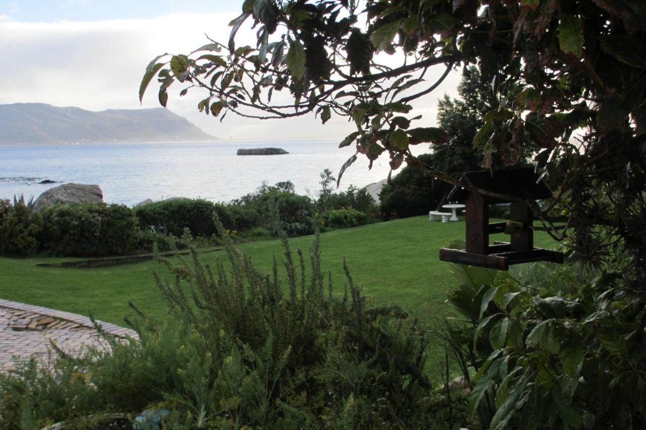 Bosky Dell On Boulders Beach Simonʼs Town Zewnętrze zdjęcie
