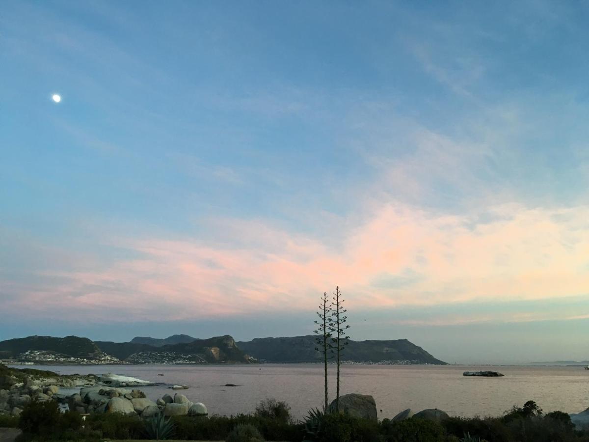 Bosky Dell On Boulders Beach Simonʼs Town Zewnętrze zdjęcie