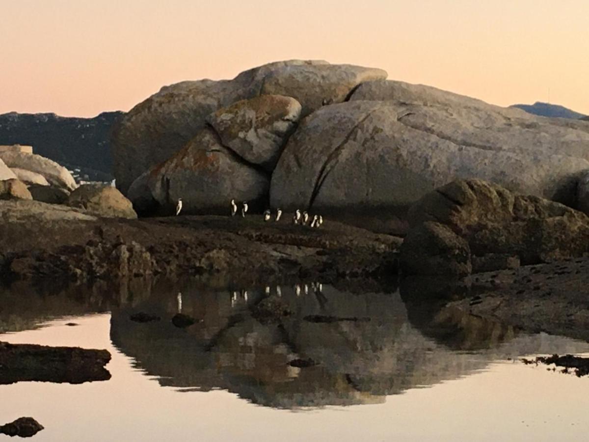 Bosky Dell On Boulders Beach Simonʼs Town Zewnętrze zdjęcie