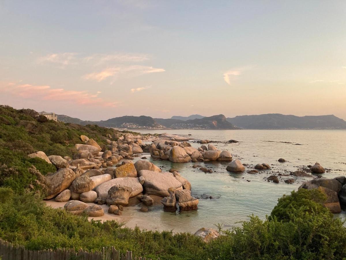Bosky Dell On Boulders Beach Simonʼs Town Zewnętrze zdjęcie